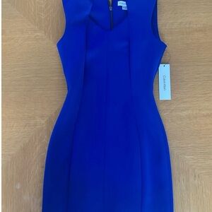 Calvin Klein Blue Dress